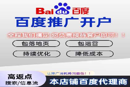 竞价排名中关键词出价策略的案例探讨
